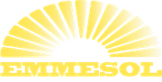 Emmesol Kinesiologia
