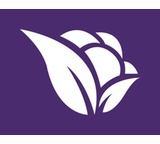 Reclamo a Violetta Cosméticos