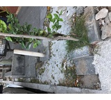 Reclamo a Municipio de Lanús