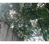 Reclamo a Municipio de Lanús