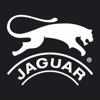 Jaguar Shoes Nivel de confianza y la opini n de los clientes