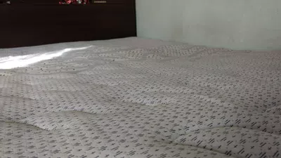 Garantía cannon / domador de precios