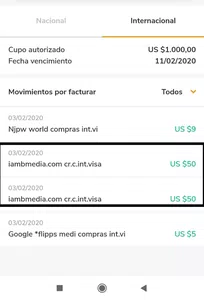 Estafa robo de datos de tarjeta de credito