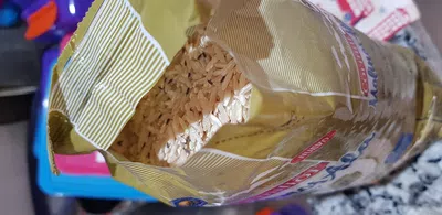 Bichos