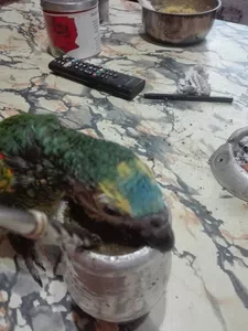 Deuda