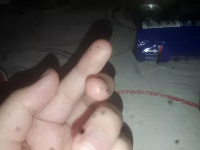 Galleta oreo contaminada