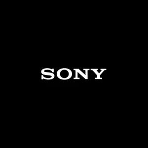 Que sony me de una solución razonable a una pantalla defectuosa. gracias