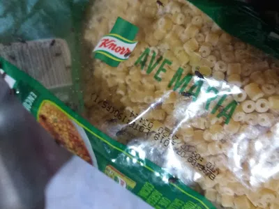 Bichos en los fideos