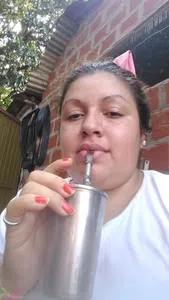 Quiero ingresar en mi anses