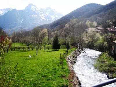 Q vuelvan el canal viajar