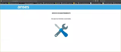Ingreso familiar de emergencia :  mi anses no funciona
