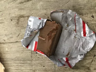 Gusano en producto felfort