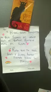 Reponer la luz