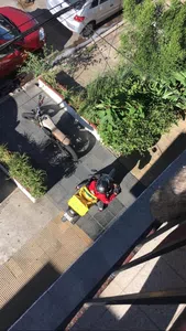 Me robaron el pedido