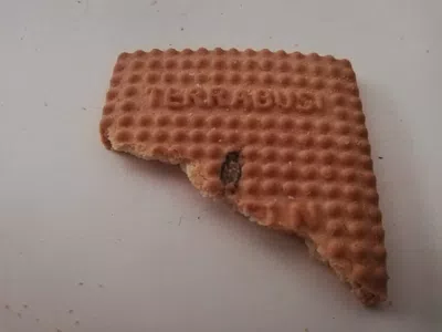 Galletitas lincoln con mugre