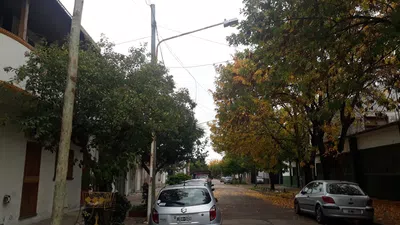 Poda urgente de arboles