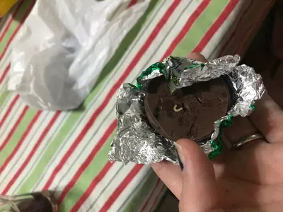 Gusanos en el chocolate y hongos