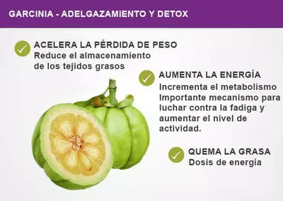 Anular la compta
