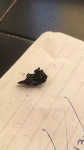 Plástico dentro de la galletita oreo