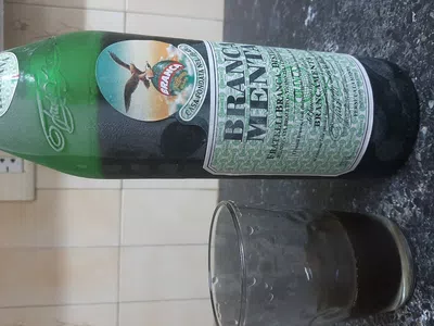 Branca de menta distinto
