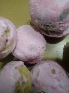 Galletas con hongos
