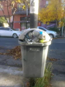 Falta de limpieza y recolección