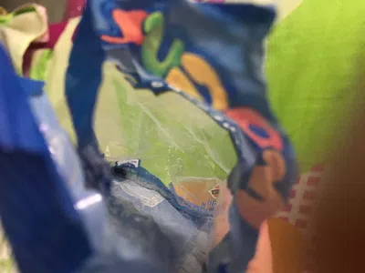 Mosca muerta en el paquete