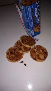 Bichos dentro de un paquete de galletitas pepitos