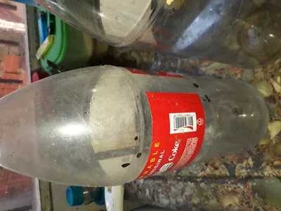 Compre 2 coca.colas de 2 litros  con sus respectivos envases descartables..luego