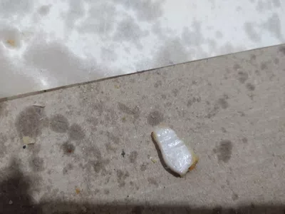 Pedazo de plastico en la pizza