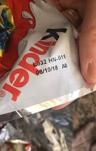 Huevo vencido