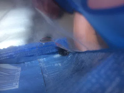 Había una mosca en el paquete de gomitas