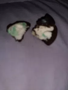 Las galletitas tenían venían con cosas verdes por dentro