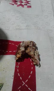 Caramelo con gusano