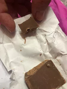 Tenía un gusano