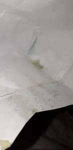 Hongos en un alfajor