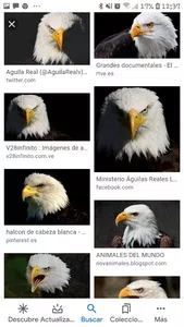 Falebella no cumple entrega