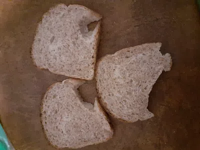 Pan lactal