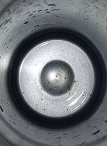 Interior del termo con marcas de óxido