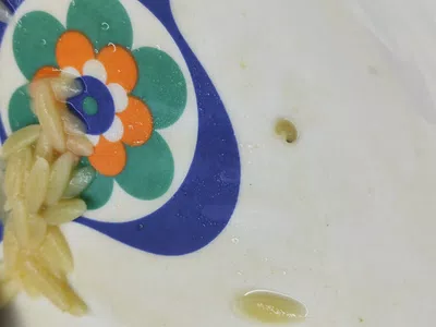 Gusanos en los paquetes