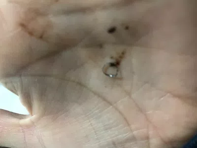 Viruta dentro del alfajor