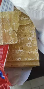 Insectos en las láminas para lasagna