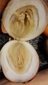 Canasta alimenticia , del gcba