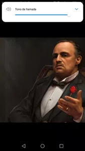 Ladrón y embustero