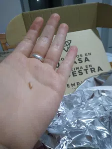 Huesos en las hamburguesas de temple