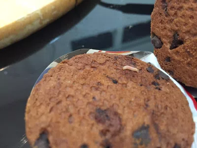 Una larva dentro del paquete de galletitas