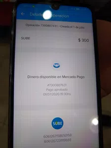 Tarjeta sube aún no acreditada