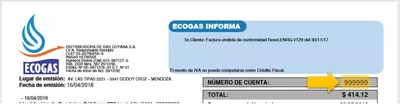 Desconocimiento de segundo pago