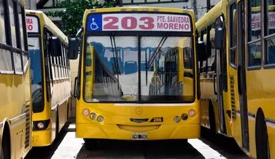 Línea 203 (203 panamericana)