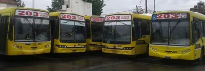 Línea 203 - algunos chóferes no paran ni respetan las paradas las paradas